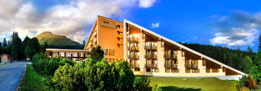 Hotel FIS***