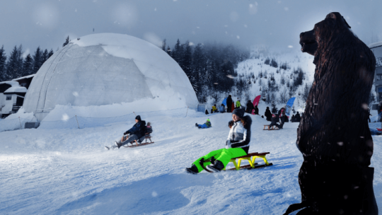 Hostel Górski Hrebienok