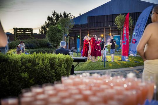 VIP wellness day