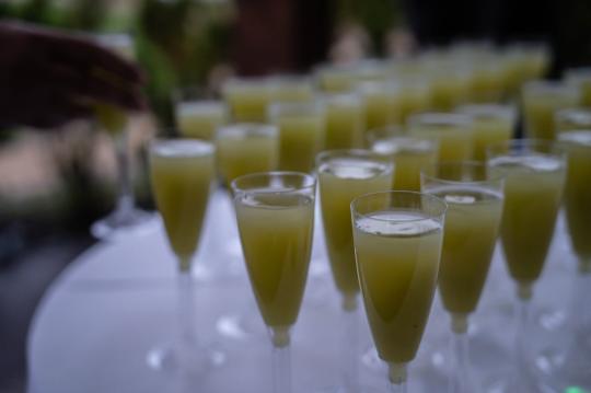 VIP wellness day