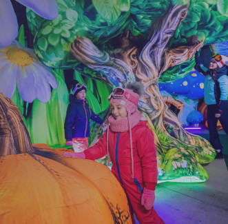 Magical Forest Jasná without cable car