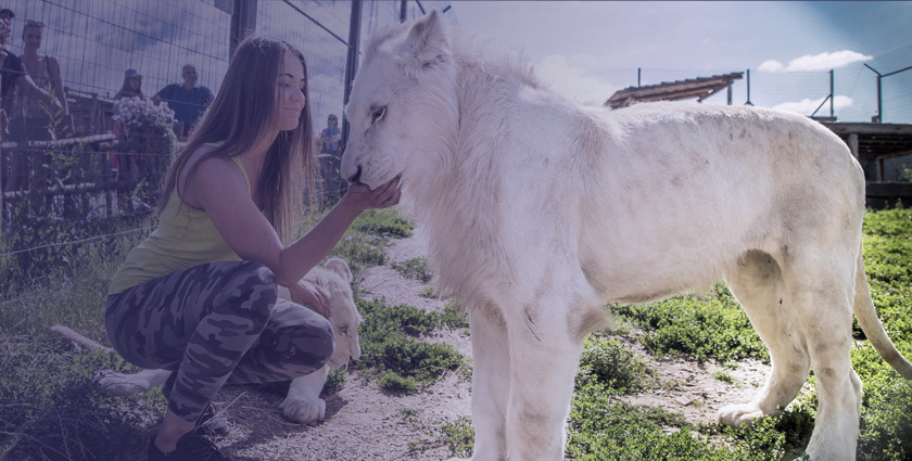 Život zvířat se blízka v nové atraktivní zookontakt