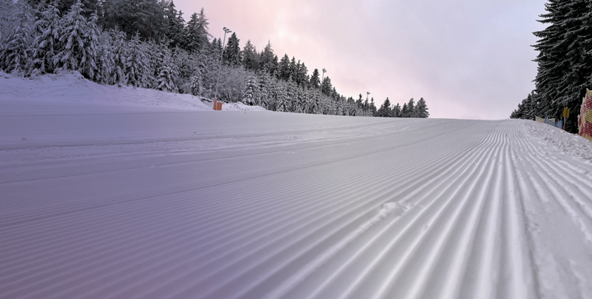 FreshTrack